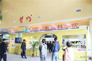 第二屆粵桂黔名優(yōu)農(nóng)產(chǎn)品食品展示博覽會(huì)盛大開(kāi)幕，推動(dòng)區(qū)域農(nóng)業(yè)高質(zhì)量發(fā)展